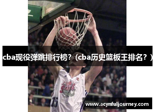 cba现役弹跳排行榜？(cba历史篮板王排名？)