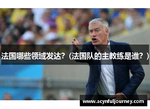 法国哪些领域发达？(法国队的主教练是谁？)