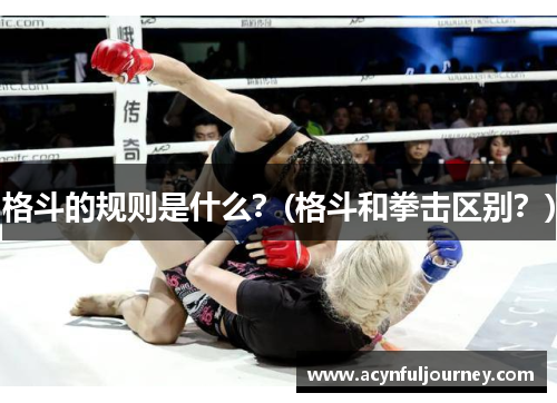 格斗的规则是什么？(格斗和拳击区别？)