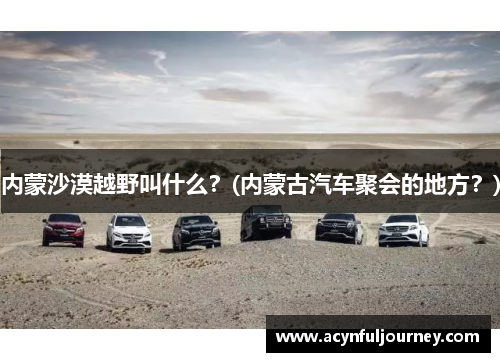 内蒙沙漠越野叫什么？(内蒙古汽车聚会的地方？)