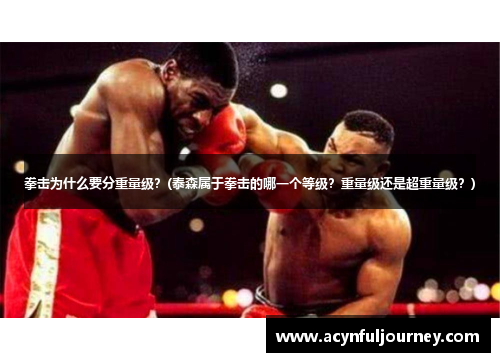 拳击为什么要分重量级？(泰森属于拳击的哪一个等级？重量级还是超重量级？)