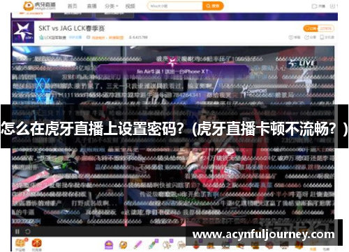 怎么在虎牙直播上设置密码？(虎牙直播卡顿不流畅？)